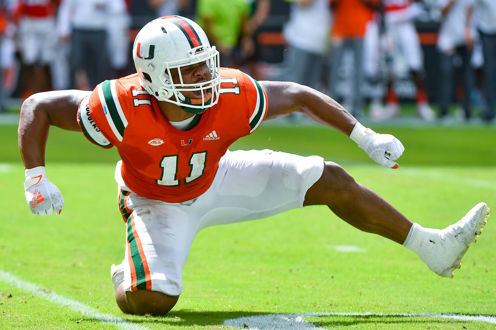 Hurricanes Rise in Both Major Polls