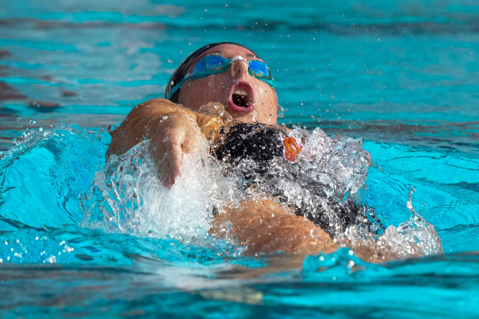 Swimming Cruises to 166-128 Win Over FAU
