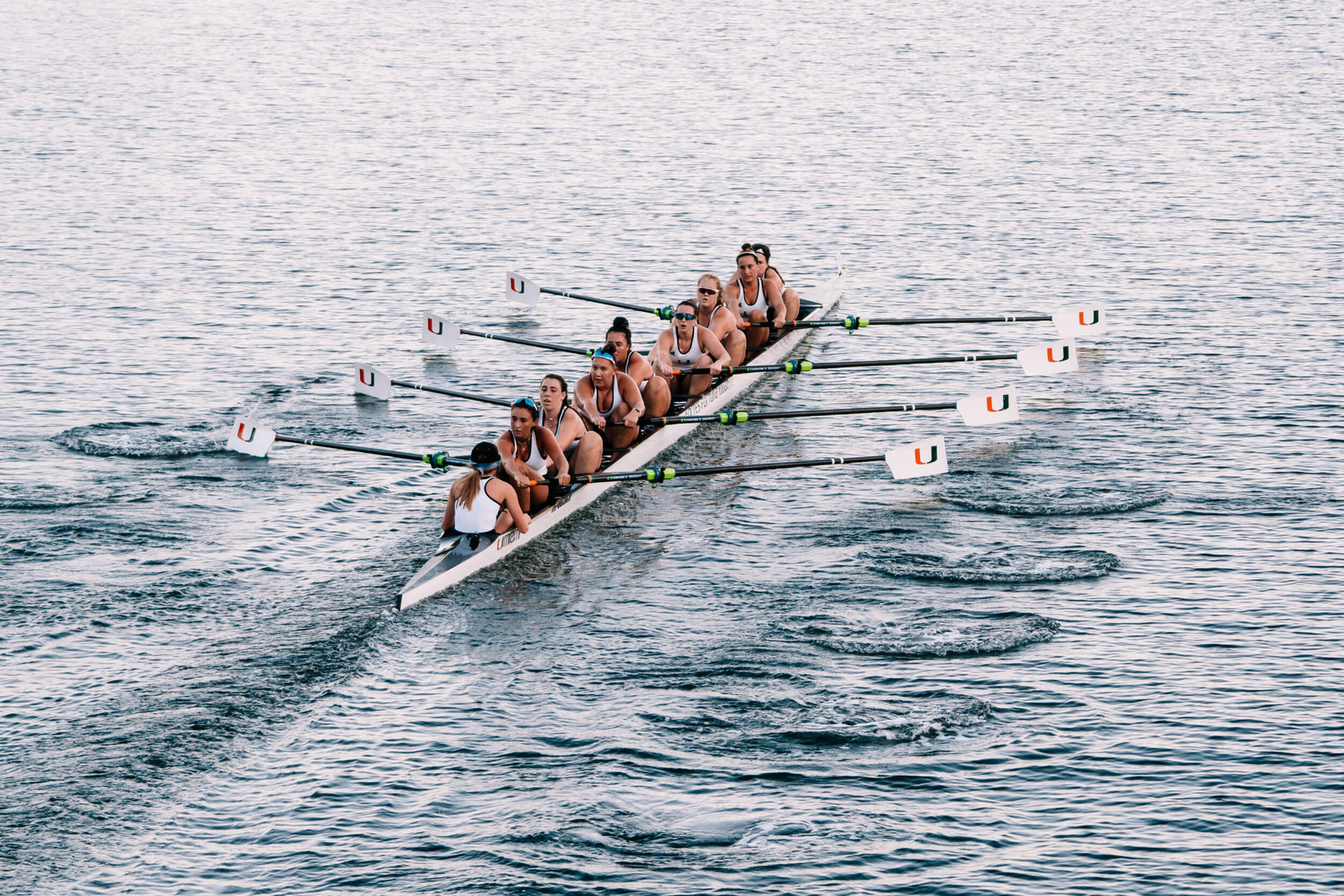 Canes Dominate Head of the Indian Creek