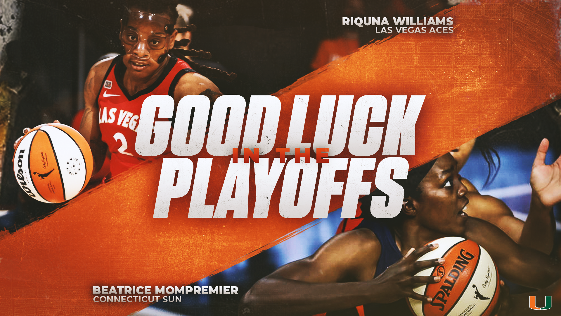 #ProCanes Begin WNBA Playoffs