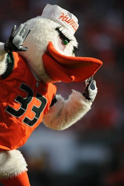 Sebastian the Ibis entertains fans in a game between the University of Miami Hurricanes and the Virginia Tech Hokies at Sun Life Stadium on November...