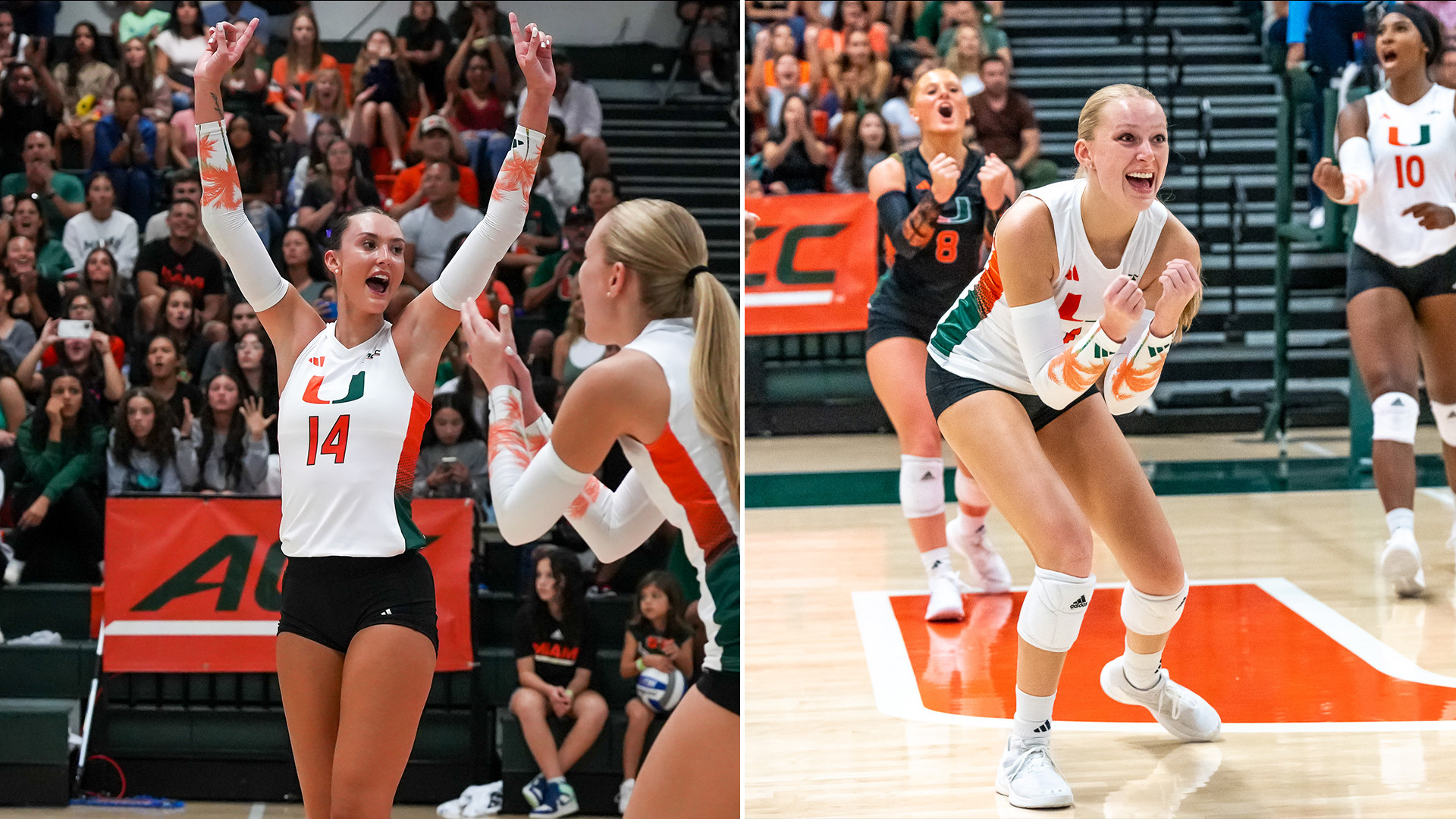 Grieve, Vach Earn ACC Weekly Honors