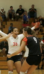 Miami Playing Two-on-Two Beach Volleyball Saturday
