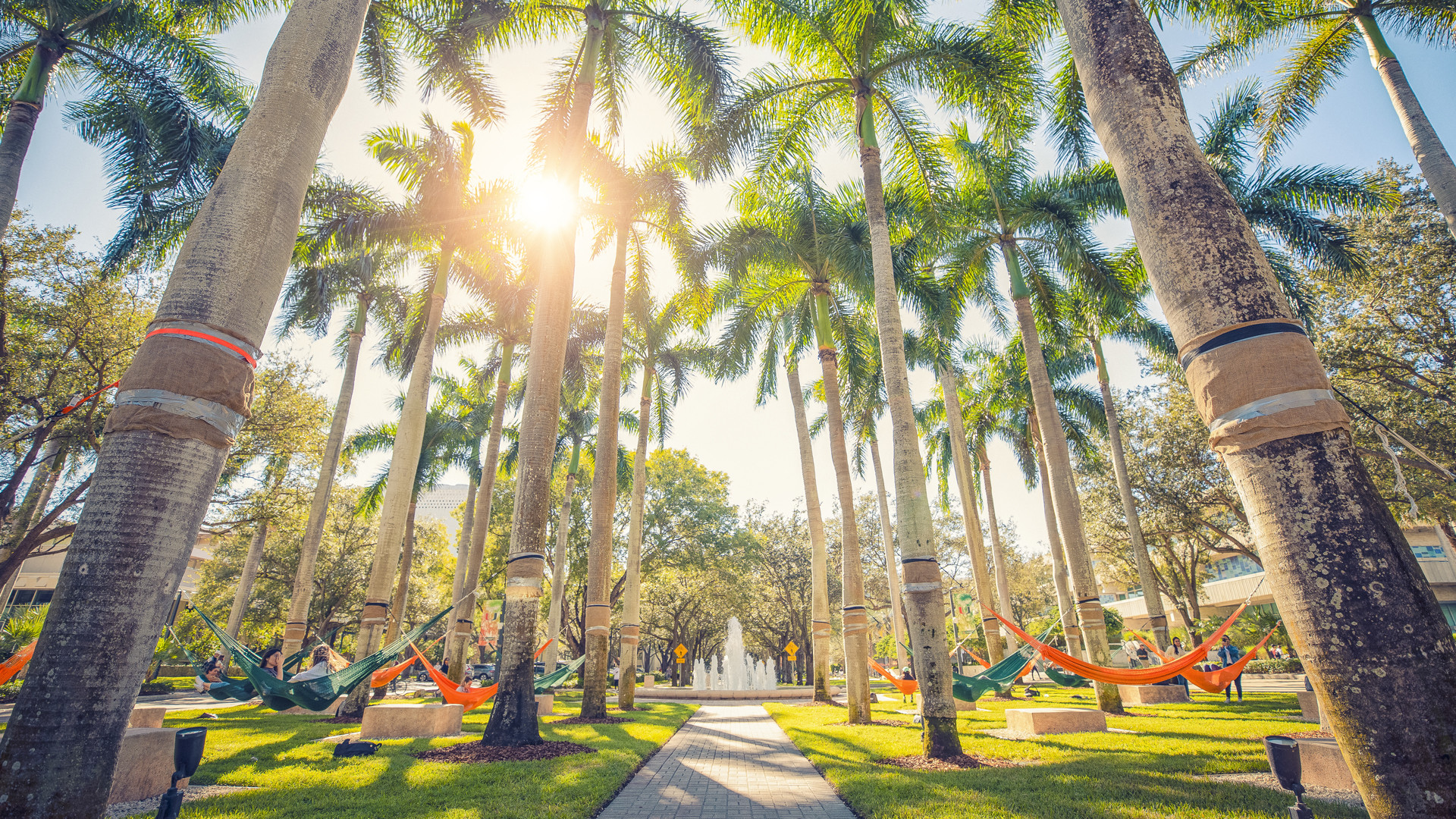 Miami Earns High Marks on NCAA APR Report