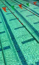 Women Head to Austin for NCAA's