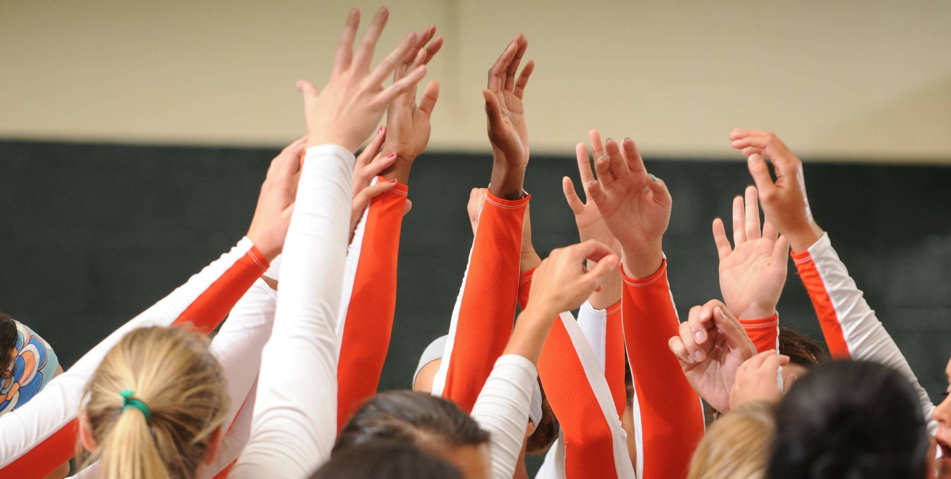 @CanesVB Adds Three Newcomers