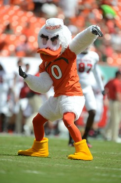 Sebastian the Ibis Entertains the Fans at the Game Between University of Miami against the North Carolina State Wolfpack at Sun Life Stadium on...