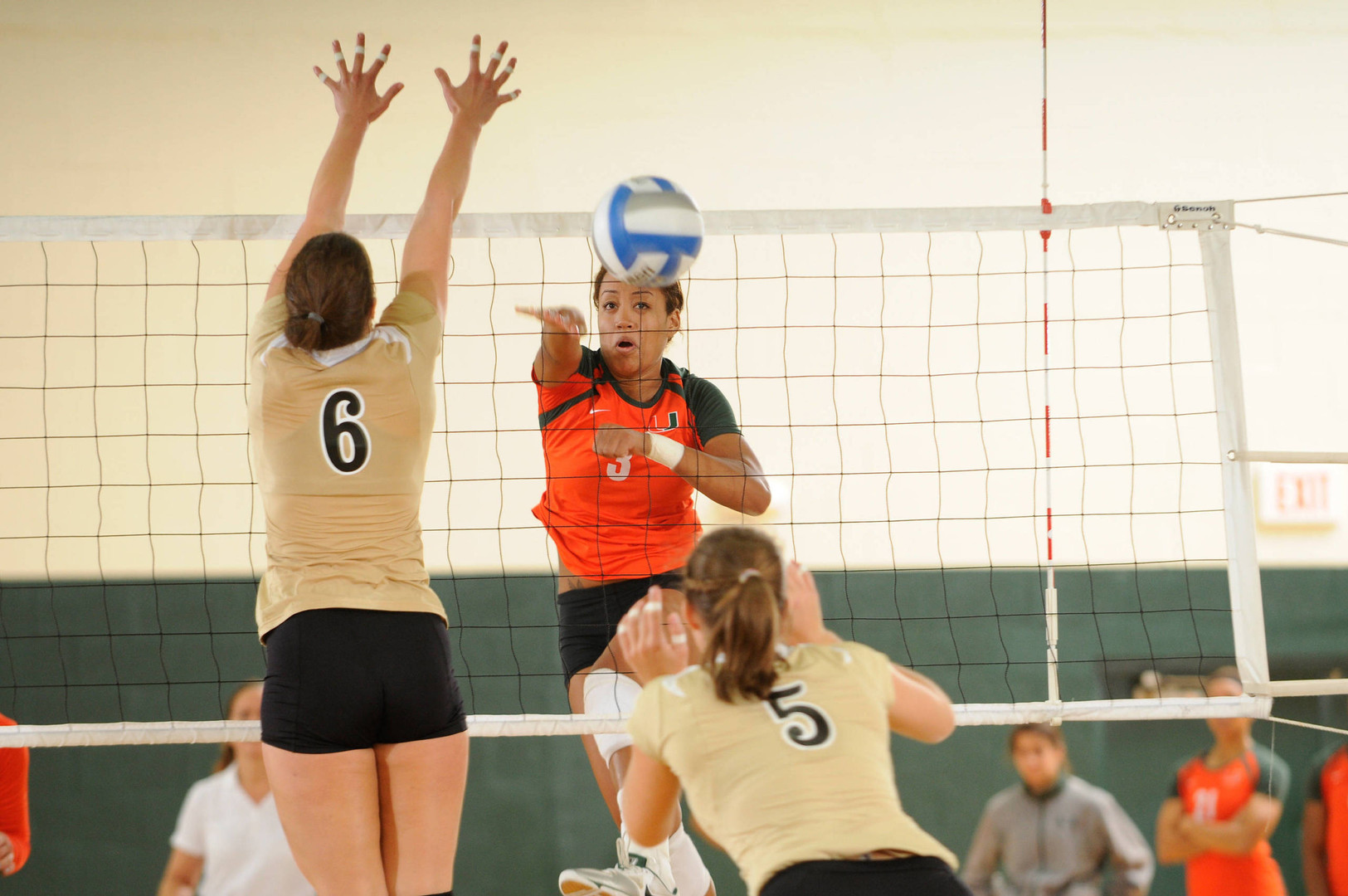 No. 24 Volleyball Sweeps Georgia Tech